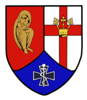 Sanitätsregiment_2.png
